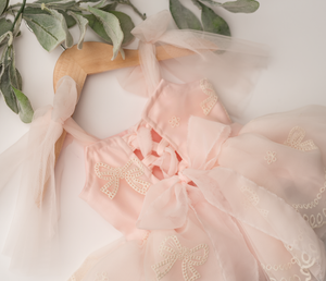 Rosy Bow Dress